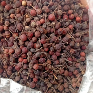 Poivre Sauvage Voatsiperifery de Madagascar Qualité Supérieure en Vrac Naturel Séché Poivre Noir VANILLE HARVEST 24 Herbes Simples Épices - Product Image 1