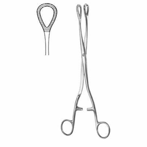 GYNECOLOGY - Product Image 1