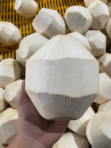 Noix de coco fraîche de qualité export, fruit tropical naturel et sucré, approvisionnement en gros - Product Image 1