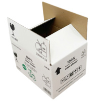 Boîte de papier ondulé pliable avec logo personnalisé Noix de coco fraîche rectangle fendue UV avantage matériaux recyclés écologiques pour