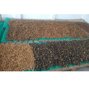 Precio de mercado bajo, extracto de hierbas ampliamente vendido, extracto de plantas Puras y Naturales, partes de raíz, extracto de raíz de Maca en polvo a la venta - Product Image 1