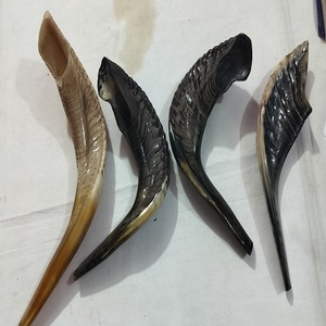 Meilleure qualité corne de bélier Shofar corne naturelle Shofar pour souffler et religieux but casher Shofar de A Z artisanat - Product Image 4