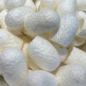 Silkworm Cocoon 100% Pure Natural Silkworm Cocoon for Skincare <b>Silk</b> Thread Making Art Craft and Exporting from Vietnam Factory - Product Image 5