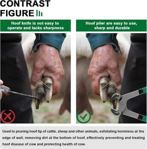 Pince à sabots réglable en acier au carbone, protecteur d'équitation, outil de maréchal-ferrant multi-usages avec poignées en plastique - Product Image 3