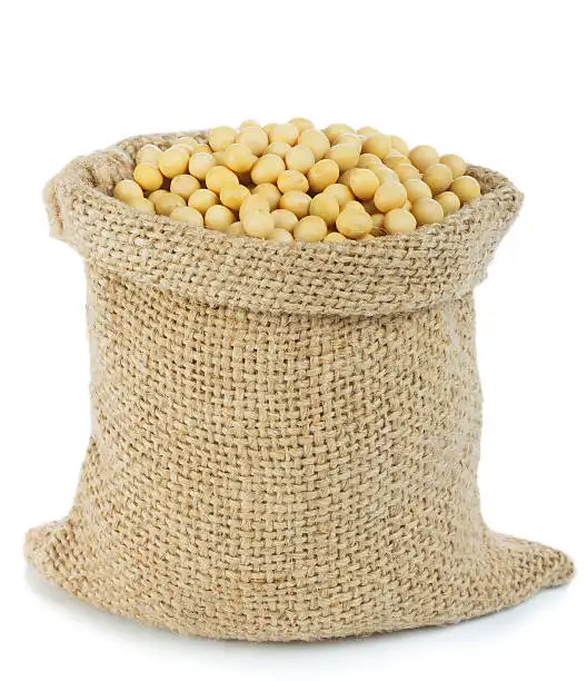 Semi di soia di alta qualità Non ogmo giallo semi di soia NON-GMO semi di soia