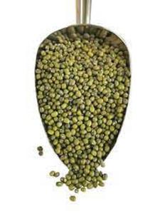 Frijoles Mung Verdes Secos al 100% al por Mayor, Alta Calidad Premium - Product Image 3