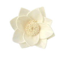 Sola Wood Flower diffuseur de roseau Parfum d'ambiance Fait à la main Sola Flower Echo Friendly Sola Flower Natural to aérer Freshen Reed