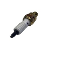 Bujía D8TC BM150 para Bajaj Boxer BM150, Pieza de Encendido Estándar para Vehículos de Dos Ruedas, Accesorios para Moto, Suministro al por Mayor