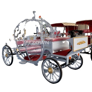 Carrozza nuziale 2025/moda nuovo prodotto trasporto speciale carrozza/auto per vacanze turistiche in vendita a prezzo speciale - Product Image 1