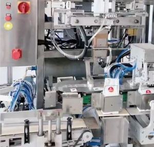 Cost Effective Full Automatic <b>Vaccumed</b> Bag Powder Pouch <b>Packing</b> <b>Machine</b> - Product Image 3