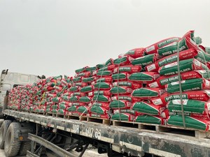 Gạch dính cho trong nhà xi măng gạch dính 20kg Polymer sửa đổi xi măng dựa trên Việt Nam xuất khẩu chất lượng - Product Image 5