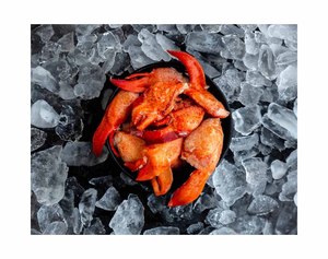 Prix de gros Homard épineux entier frais congelé de qualité supérieure, délicieux et sain, pour achat en gros - Product Image 5