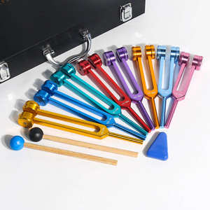 ชุดเครื่องมือสแตนเลสสตีลสำหรับการบำบัดด้วยเสียงแบบสั่งจูงประสาทสัมผัส  ลดราคาพิเศษ  สำหรับการวินิจฉัยทางหู คอ จมูก และการผ่าตัด - Product Image 3