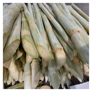 Caña de azúcar congelada Premium de Vietnam por 99GD con alto contenido de jugo Caña de azúcar congelada perfecta para barras de jugo y uso de exportación - Product Image 5
