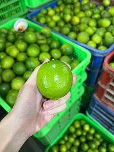 Limón Verde Premium Sin Semillas, Fruta Fresca de Limón - Product Image 3