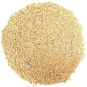 Millet vert et jaune à vendre, millet rouge et marron/noir de haute qualité, millet blanc/vert - Product Image 5