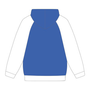 เสื้อฮู้ดแขนแร็กแลนปักลายเชนิลล์ บลู ซีต้า ฟาย เบต้า สำหรับนักศึกษา HBCU  สไตล์แฟชั่นนักศึกษาจากสมาคมนักเรียนหญิงกรีก ดีไวน์ ไนน์ - Product Image 3