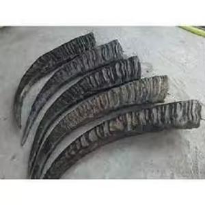 Pièce de corne fabriquée à la main en corne de buffle naturelle polie véritable corne pour tasse bijoux couteau poignée et décoration - Product Image 1