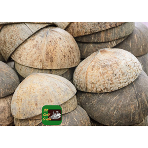 COQUILLES DE NOIX DE COCO SÉCHÉES NATURELLES D'APPROVISIONNEMENT EN VRAC POUR DÉCOR ECO CRAFT ET EXPORTATION DE PRODUCTION DE CHARBON - Product Image 4