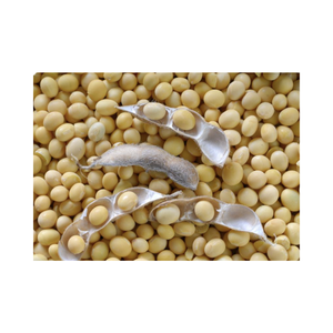 Graines de soja en vrac à vendre - Product Image 1