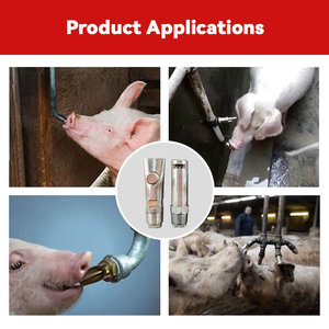 304/201 mới tự động thép không gỉ lợn uống núm vú bền và hiệu quả tưới nước - Product Image 3