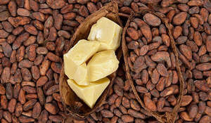 Manteca de Cacao Holandesa Orgánica Pura y Natural al por Mayor, Bolsa de 25 kg, Proveedor a Granel - Product Image 4