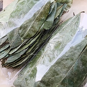 Feuilles de corossol séchées en vrac pour la transformation alimentaire et des boissons, Vietnam - Product Image 1