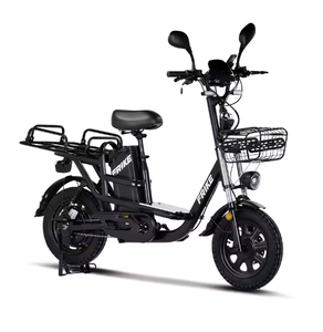 Mejores Ofertas para Bicicleta Eléctrica de 16 Pulgadas para Entregas, Todoterreno, sin Escobillas, con Batería de Litio de 350W (720WH) y Motor Trasero - Product Image 2