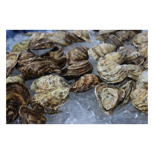 เนื้อหอยนางรมญี่ปุ่นพรีเมียม สำหรับการสั่งซื้อจำนวนมากที่เชื่อถือได้ - Product Image 2