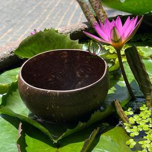 Tazón de Cáscara de Coco / Tazón de Cáscara de Coco con Cuchara de Coco - Logotipo Personalizado Disponible - Diámetro del Tazón 12-13 cm - Product Image 1