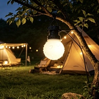 Guirlande lumineuse LED G50 étanche IP68, 5m, 10 LED, DC24V, 1W, pour extérieur, fête, mariage, jardin, patio, décorative