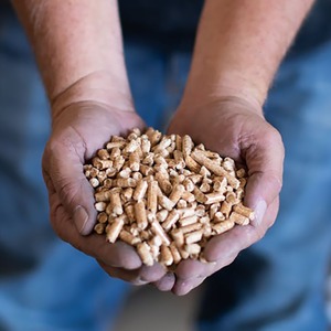 Pellets de Madera de Alta Calidad a Precio Competitivo, Pellets de Madera de Roble en Venta - Product Image 4