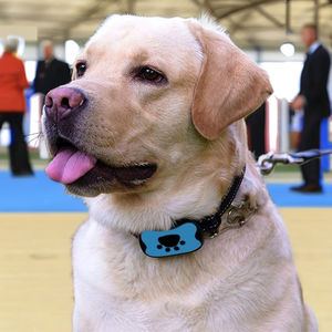 Bestseller wiederauf lad bares elektrisches Hunde rinden halsband Automatisch wasserdicht mehrfarbig anpassbar Kunststoff mit einstellbarer Empfindlichkeit - Product Image 6