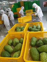 Leveringsprijs Graviola Zuurzak Fruit Bevroren Zuurzak Fruit Bulk Bevroren Zuurzak Vietnam Ms Sophie