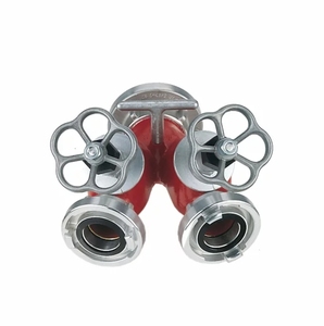 أعلى جودة 2 طريقة المداخل المسمار أسفل مع صمام 2 .. 5 بوصة لمعدات مكافحة الحرائق - Product Image 5