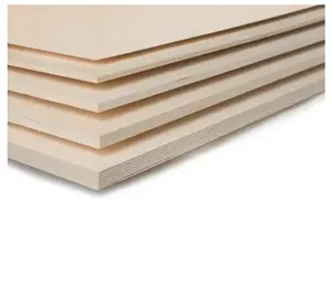 Factory Direct Sell 3mm 4mm 5mm 8mm 9mm 10mm 12 Mm Thick Waterproof Commercial Plywood Filmfaced