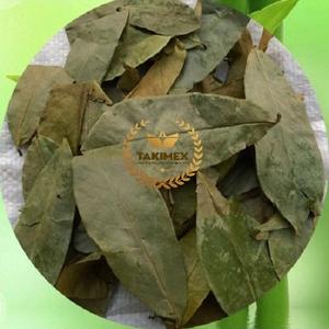 Producto Superior: Hoja de Guanábana Seca/Hoja de Graviola/Té de Guanábana de Alta Calidad y Precio Competitivo - Product Image 4