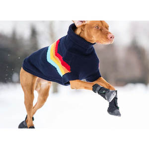 Botas para Perro Elasto-Fit con Diseño Sólido en Negro, Estilos Clásico y Moderno, Zapatos para Mascotas para Verano e Invierno - Product Image 5