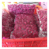 Bevriezen Rode Drakenvruchten Bulk Iqf Bevroren Vers Drakenfruit Gesneden Sap Jam Kracht Uit Vietnam Voor Internationale Markt