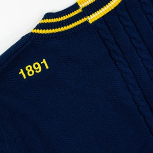 เสื้อสเวตเตอร์คอวีของผู้ชายเสื้อสเวตเตอร์แบบสวมหัวผ้าโพลีเอสเตอร์/ ผ้าฝ้ายสำหรับฤดูหนาวสีน้ำเงินและเหลืองแบบกำหนดเอง NC A & T aggies - Product Image 3