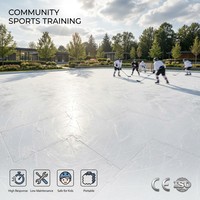 Pista de Hockey sobre Hielo Sintético Móvil de UHMWPE de 20m X 40m - Baldosas de Hielo Artificial Económicas para Pistas de Patinaje