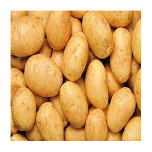 Venta a granel de patatas irlandesas frescas dulces de calidad superior, calidad superior, Venta caliente, precio al por mayor, verduras frescas de granja - Product Image 2