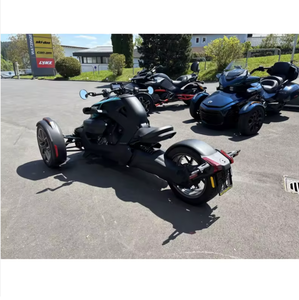 Vehículo Industrial de 3 Ruedas Personalizable 2026, Grado DIY, con Potente Motor de 3 Cilindros y 900cc - Product Image 4