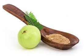 ผงเหล็ก Amla ที่อุดมด้วยสารสกัดจากสมุนไพรอินเดียส่งตรงสำหรับการดูแลสุขภาพร่างกาย - Product Image 6