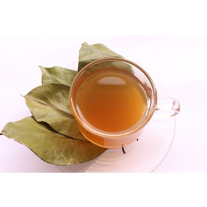 Hojas de Guanábana secas orgánicas de alto grado-Sin pesticidas-Serie de té de hierbas puro - Product Image 2