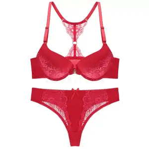 Latest Design Sexy Women Lingerie Two Piece Brief Underwear Set Custom Logo Undergarments