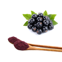 Zwarte Bes Extract Rijk Aan Vitamine C En Anthocyanen