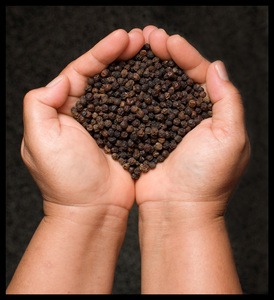 Épices et herbes individuelles, poivre noir entier 580 GL, poivre noir de qualité supérieure, idéal pour la cuisine, l'assaisonnement et l'utilisation culinaire - Product Image 3