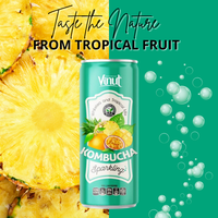 Kombucha Witte Thee & Tropische Mix Vinut 250Ml Blikje Sap Drink-Oem Odm Aanpasbare Groothandelsprijs Gratis Monster Beschikbaar