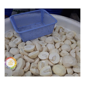 100% SEGMENTOS CORTADOS DE FRUTA DE PAN CONGELADA IQF NATURAL TEXTURA DULCE Y SUAVE PARA EXPORTACIÓN INDUSTRIA ALIMENTARIA - Product Image 2